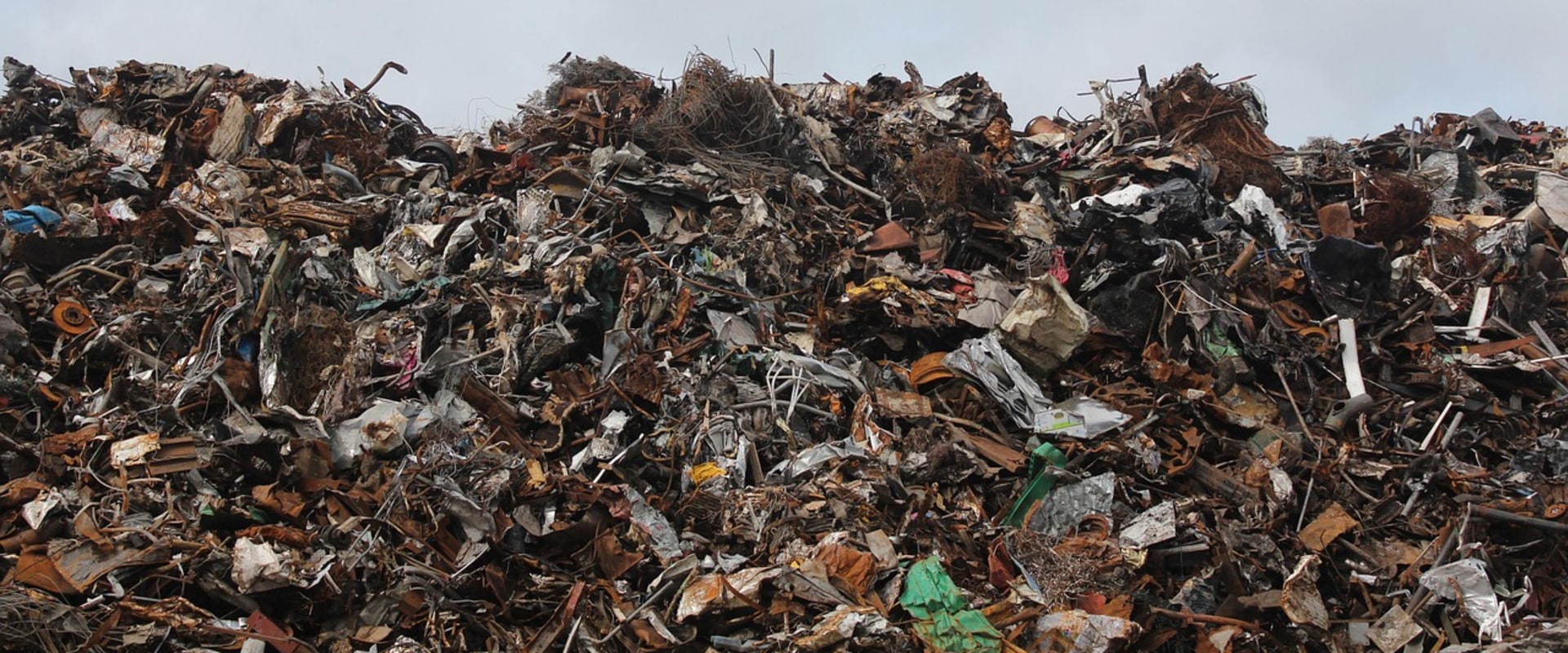 Efficient Landscape Projects with Smart Junk Removal in Gresham