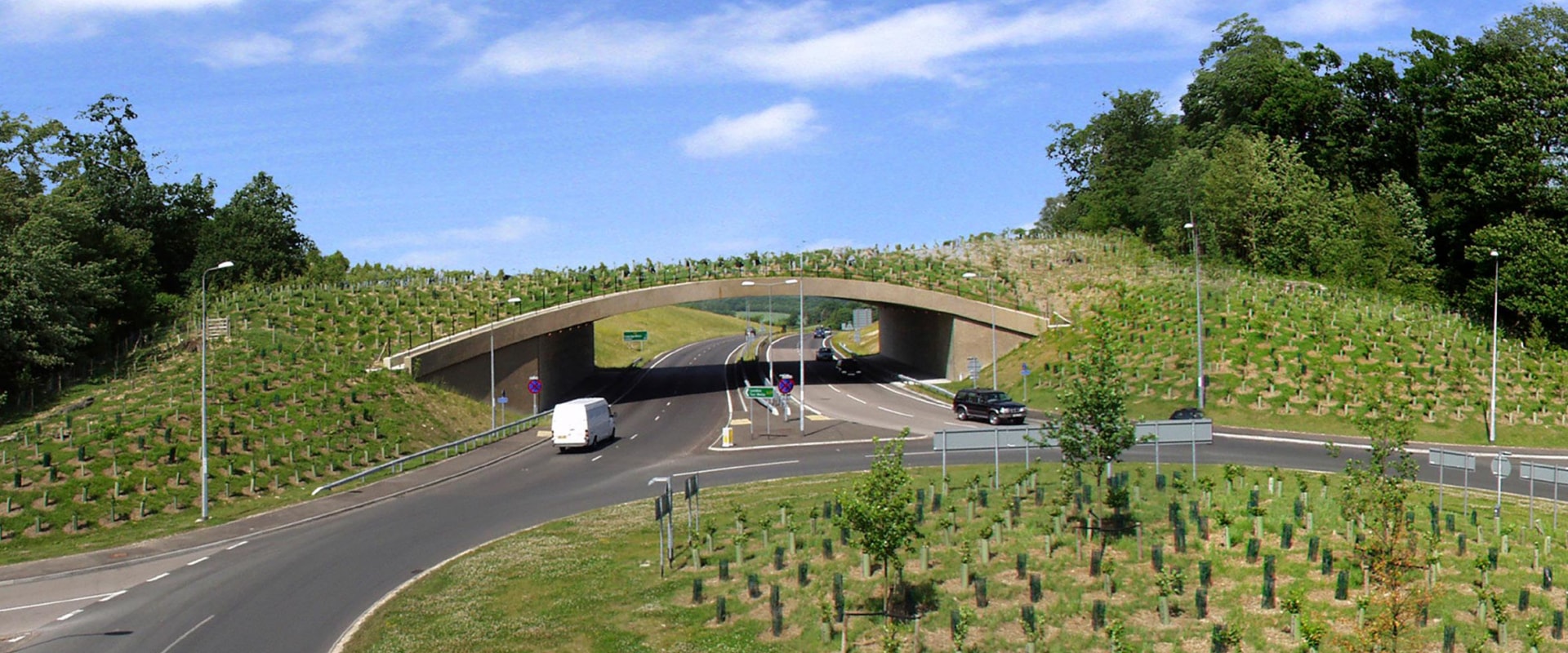 The Connection Between Landscape Engineering and Public Safety