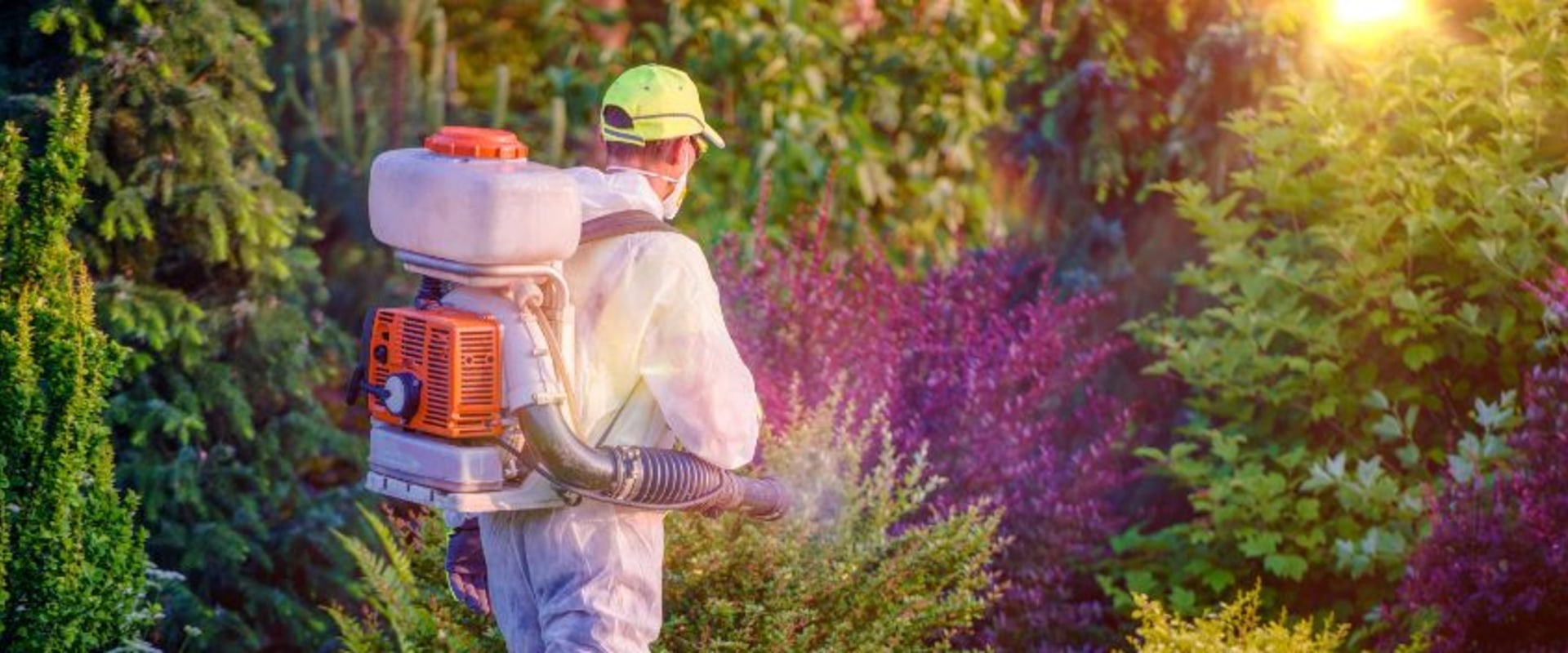 Landscape Engineering and Pest Control in Sheffield