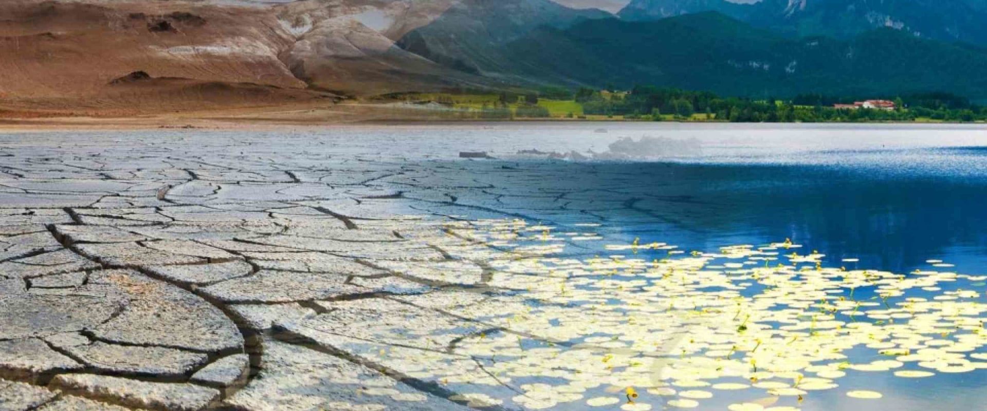 Why Landscape Engineering Matters More in Drought-Prone Regions