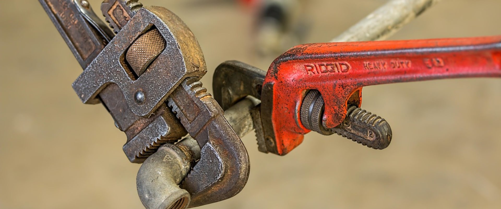 Expert Leak Detection and Landscape Engineering in Carrum Downs