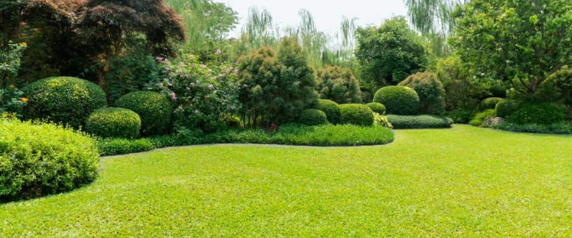 Landscape Engineering Techniques That Support Healthier, Pest-Free Spaces