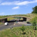 The Connection Between Landscape Engineering and Public Safety