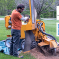 Maintaining Tree Health And Landscape Aesthetics: The Perfect Combination Of Tree Trim Services And Landscape Engineering In Martinsburg, WV