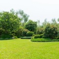 Landscape Engineering Techniques That Support Healthier, Pest-Free Spaces