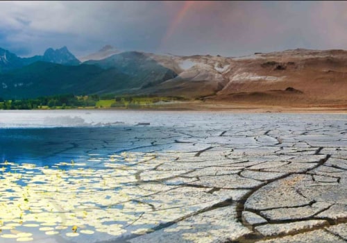 Why Landscape Engineering Matters More in Drought-Prone Regions