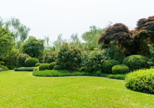 Landscape Engineering Techniques That Support Healthier, Pest-Free Spaces